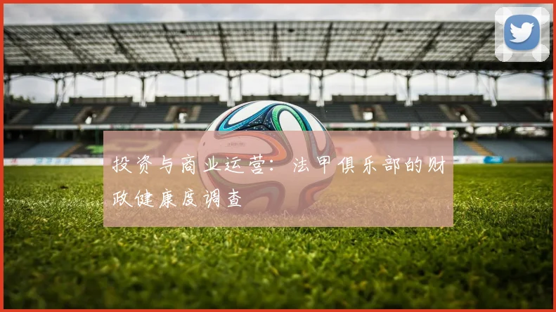 投资与商业运营：法甲俱乐部的财政健康度调查